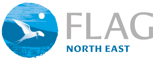 BIM FLAG North East logo